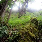 La Veguina