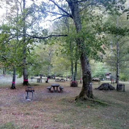 La Veguina * Santillan