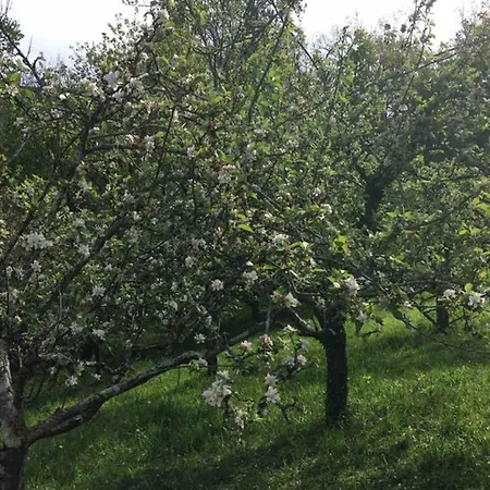 La Veguina * Santillan